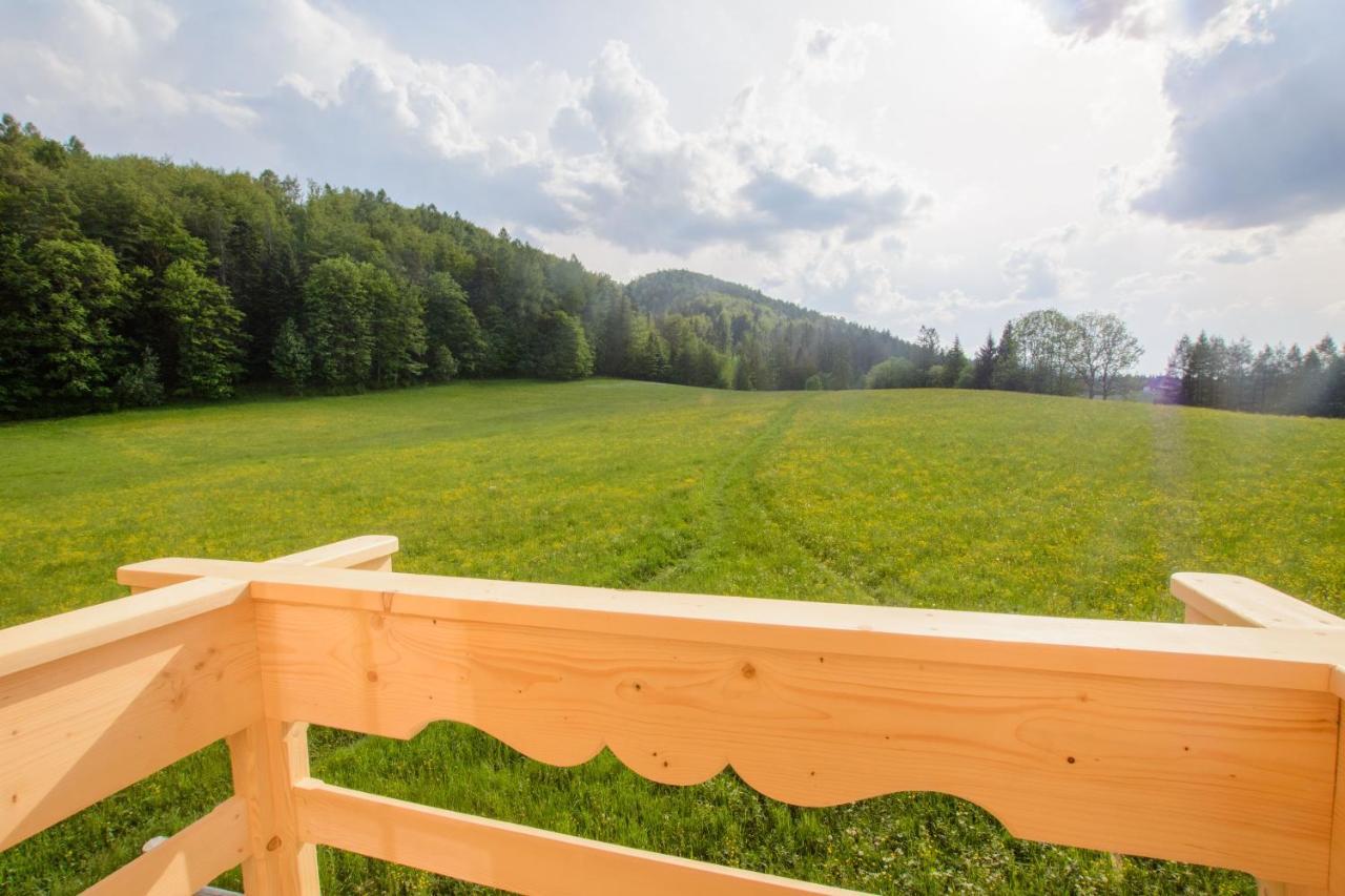 Domek Trzy Doliny Zakopane, Three Valleys Chalet With Jacuzzi Dış mekan fotoğraf